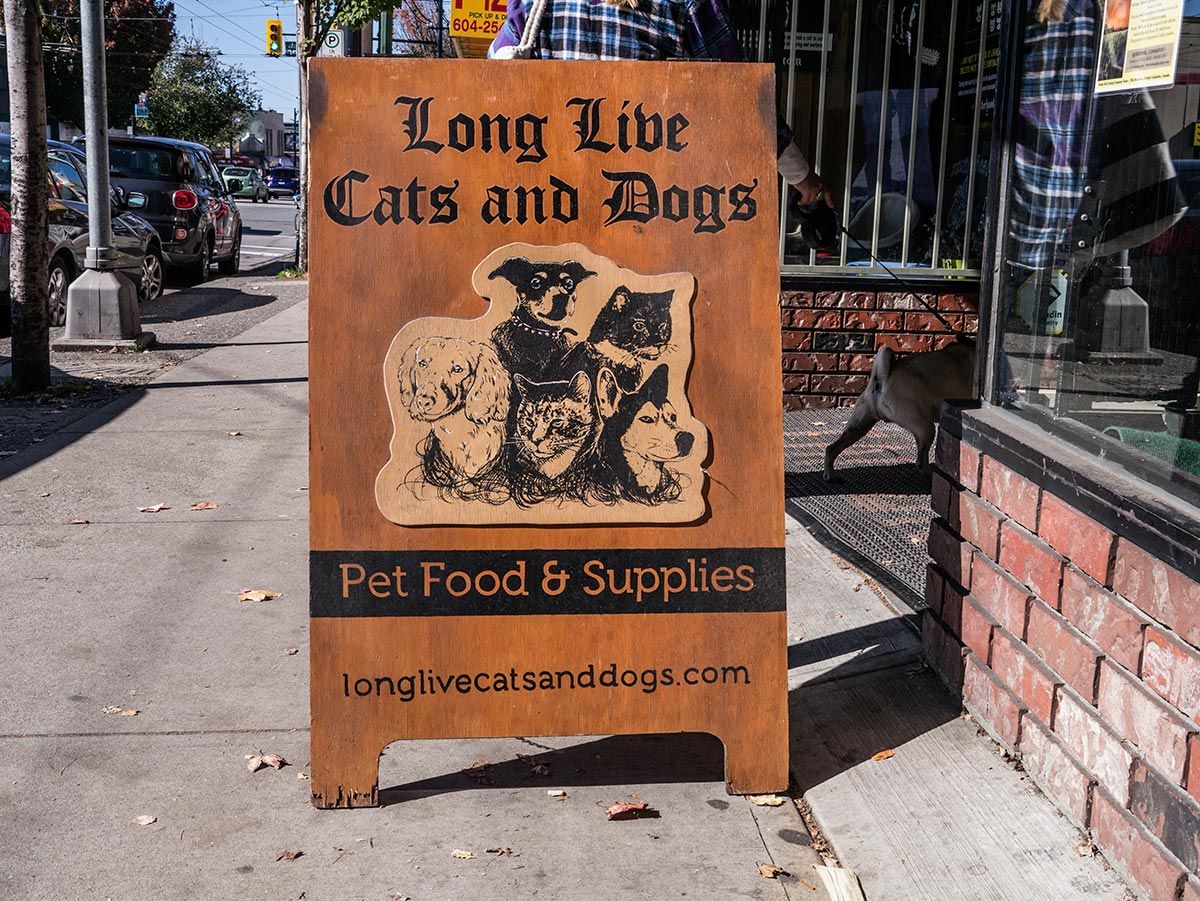 Long Live Cats and Dogs