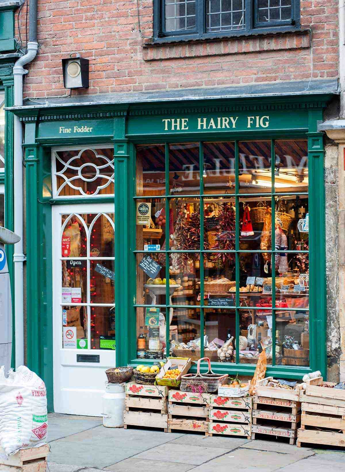 The Hairy Fig